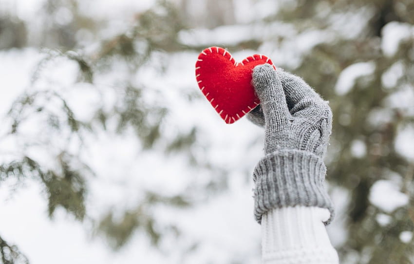 winter, snow, love, heart, tree, red, love, heart, winter, mittens, snow, romantic, hands, valentine, fir tree , section настроения, winter hands HD wallpaper