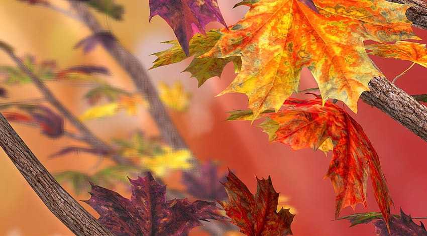Топ 11 Autumn Live за Android, есенен chromebook HD тапет