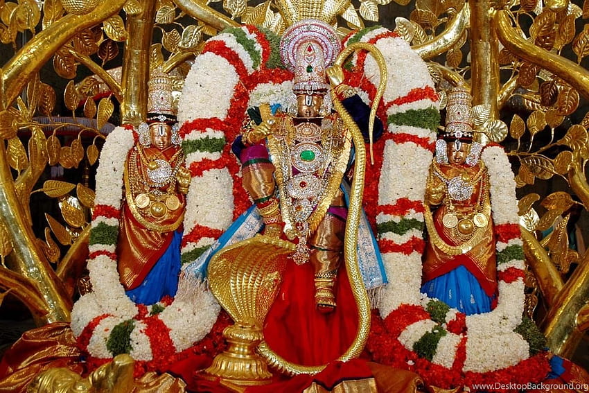 God Venkateswara And Backgrounds, venkateswara god HD wallpaper