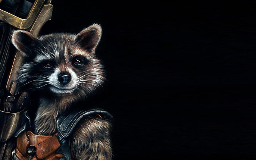 Rocket Raccoon 5, rocket marvel HD wallpaper
