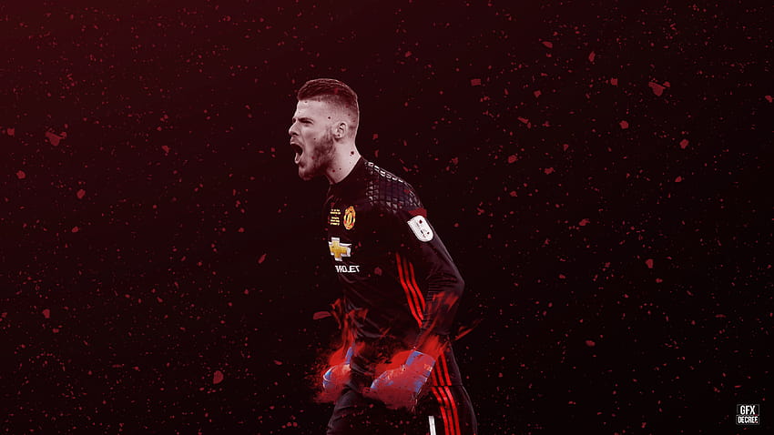 David de Gea, Footballer, Spanish, Manchester United HD wallpaper