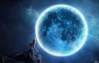 Thưởng thức bức tranh đêm trăng mộng mơ, với những chú sói howling như muốn gợi nhắc về sự hoang dã và bí ẩn của núi rừng. Hãy chiêm ngưỡng và tận hưởng âm thanh trầm lắng của đêm, để tâm hồn bạn được thanh tịnh và thăng hoa.