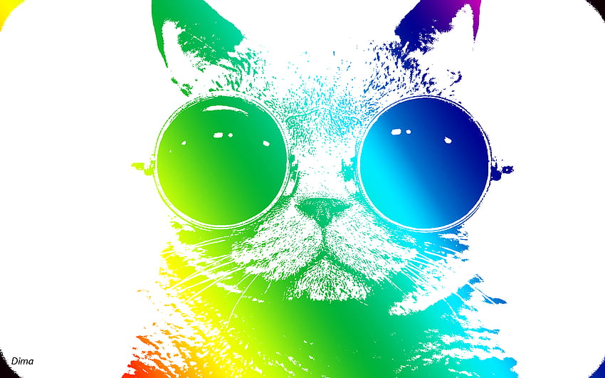 Cool cats HD wallpaper | Pxfuel