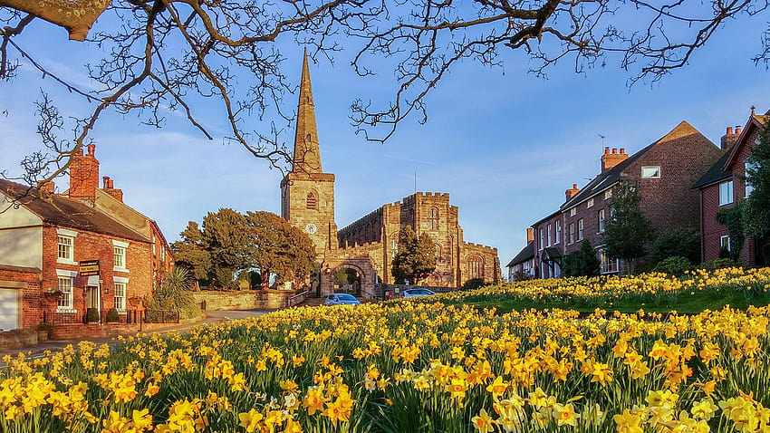 Англия Astbury Spring Daffodils Cities Building 2560x1440, пролет Англия HD тапет