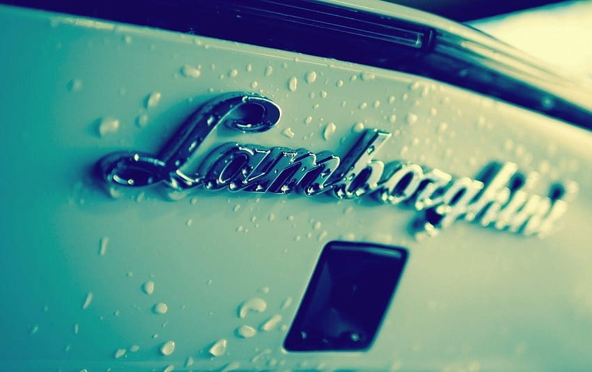 Lamborghini Logo, logo lamborgini HD wallpaper