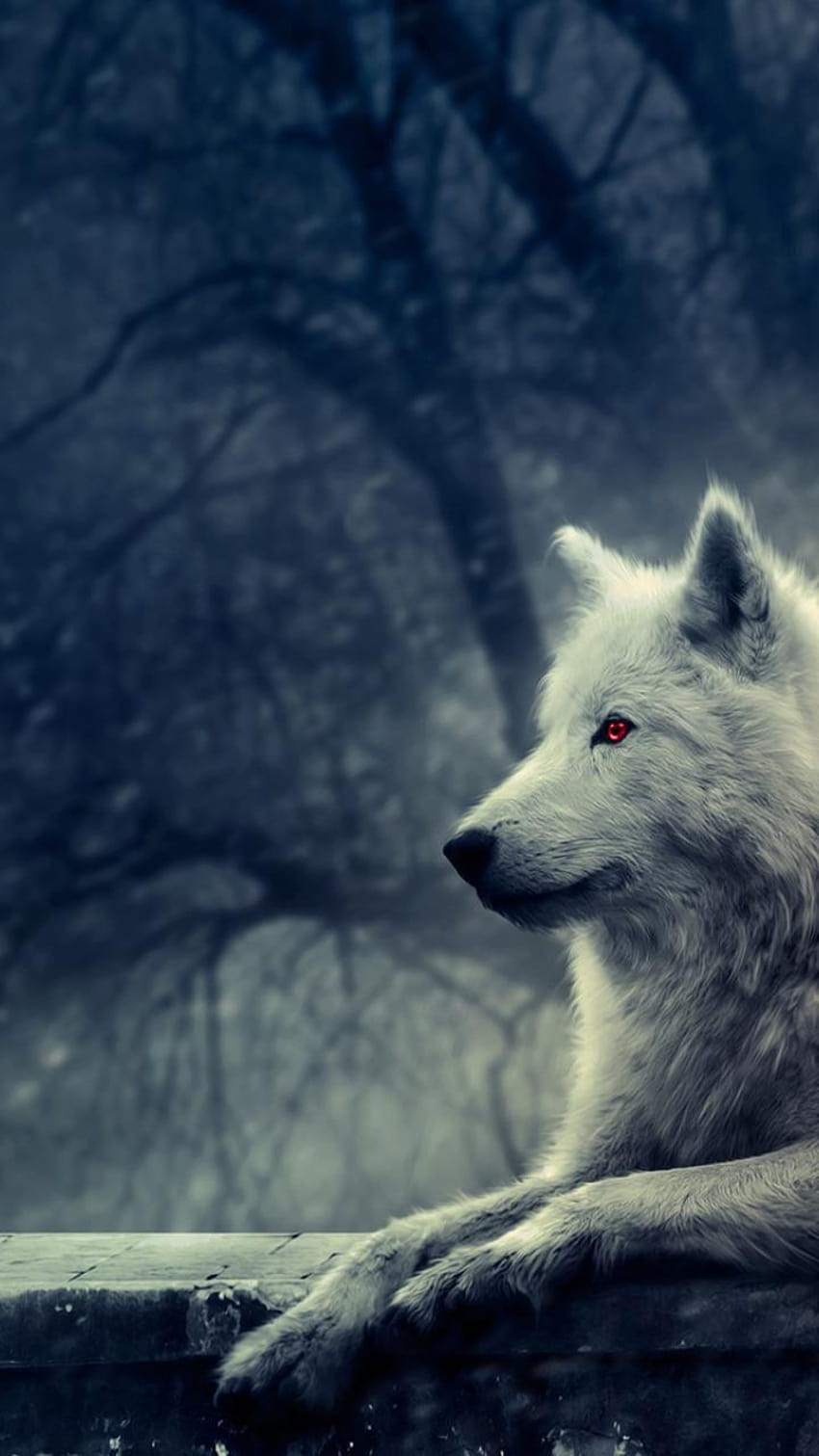 Ghost, dire wolf android HD phone wallpaper