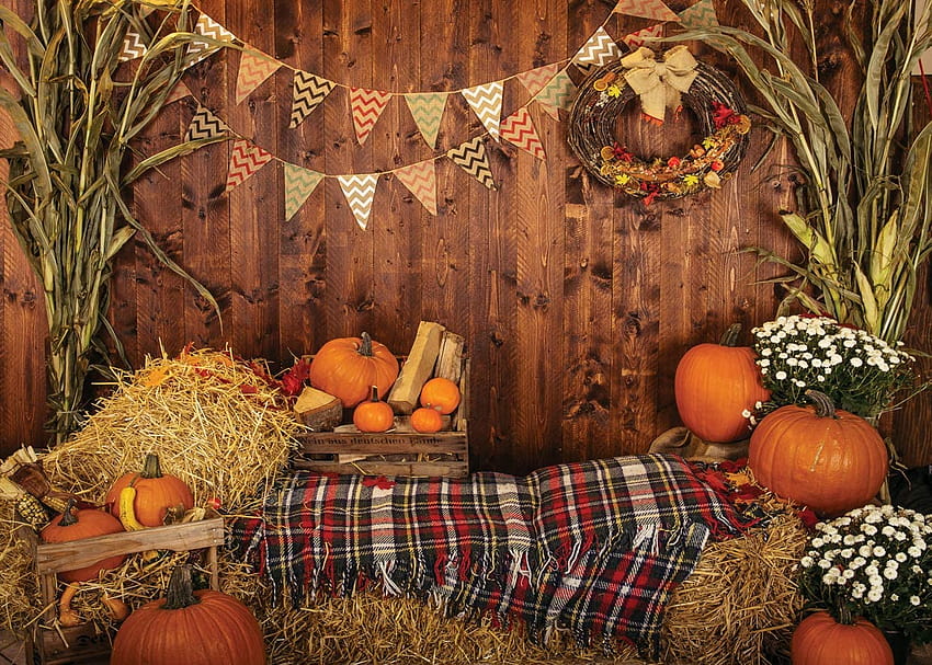 Amazon : AIIKES 7x5FT Fall Thanksgiving Backdrop Rustic Wood Board Barn Harvest graphy Backgrounds Autumn Pumpkin Leaves Flower Baby Birtay Portrait Party Decoration Studio Booth Props 11, rustic thanksgiving HD wallpaper