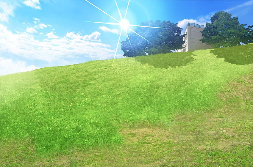 Anime Grassland posted by Michelle Tremblay, anime grass field HD wallpaper