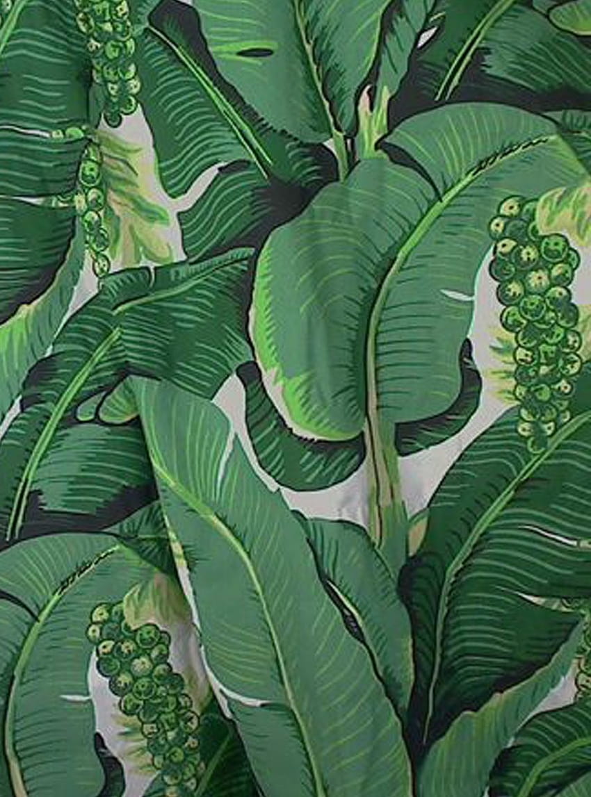 Free download Decorator Dorothy Drapers Braziliance Palm  WallpaperGreenbrier 1053x1390 for your Desktop Mobile  Tablet  Explore  50 Dorothy Draper Wallpaper  Don Draper Wallpaper Dorothy Draper  Brazilliance Wallpaper