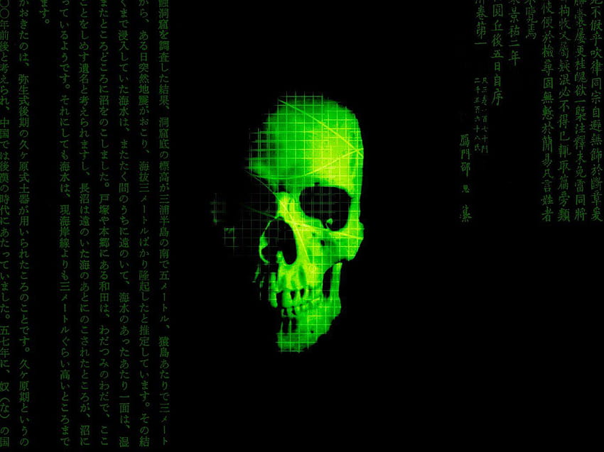 Skull : Find best latest Skull in for your, totenkopf HD wallpaper
