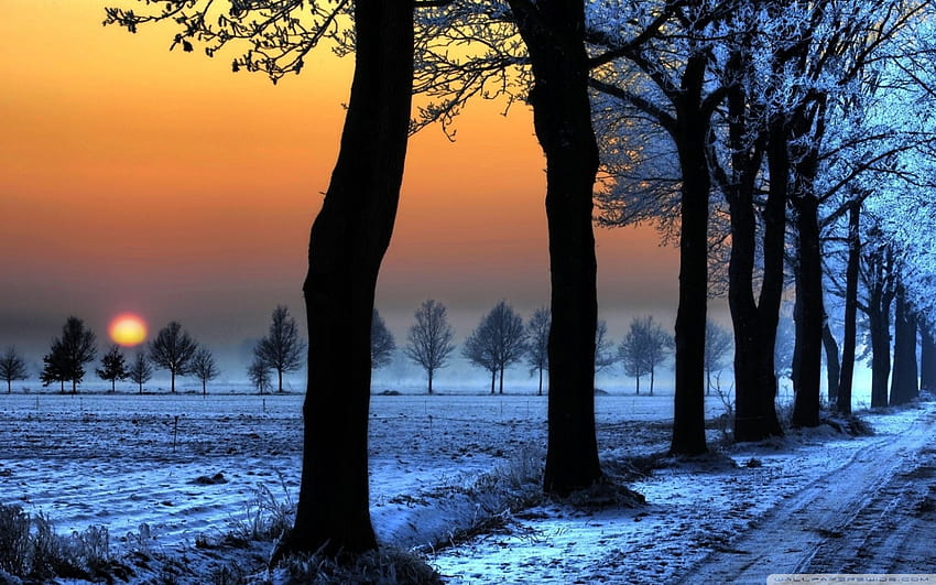 Winter Landscape With Orange Sky Ultra Backgrounds for U TV : & UltraWide & Laptop : Tablet : Smartphone, winter orange HD wallpaper