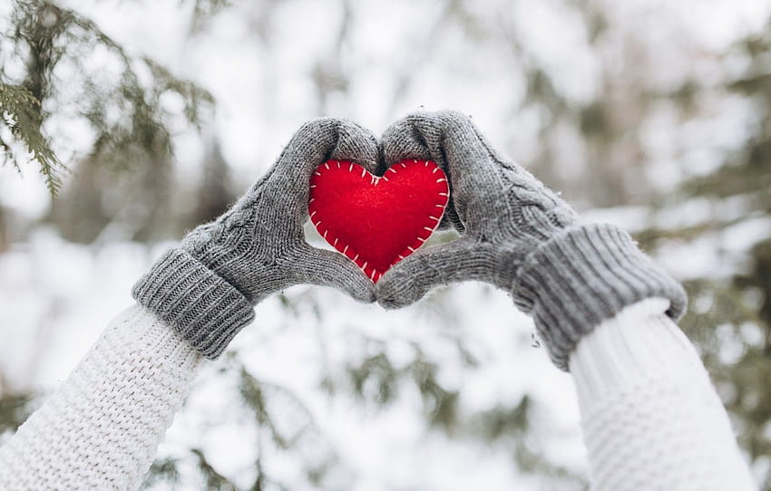 winter, snow, love, heart, tree, red, love, heart, winter, mittens, snow, romantic, hands, valentine, fir tree , section настроения, winter hands HD wallpaper