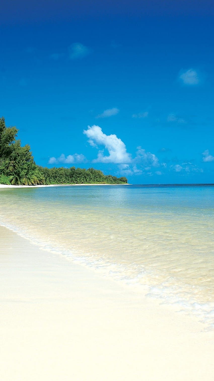 Android Pantai Putih di Pulau Tropis, pantai android wallpaper ponsel HD