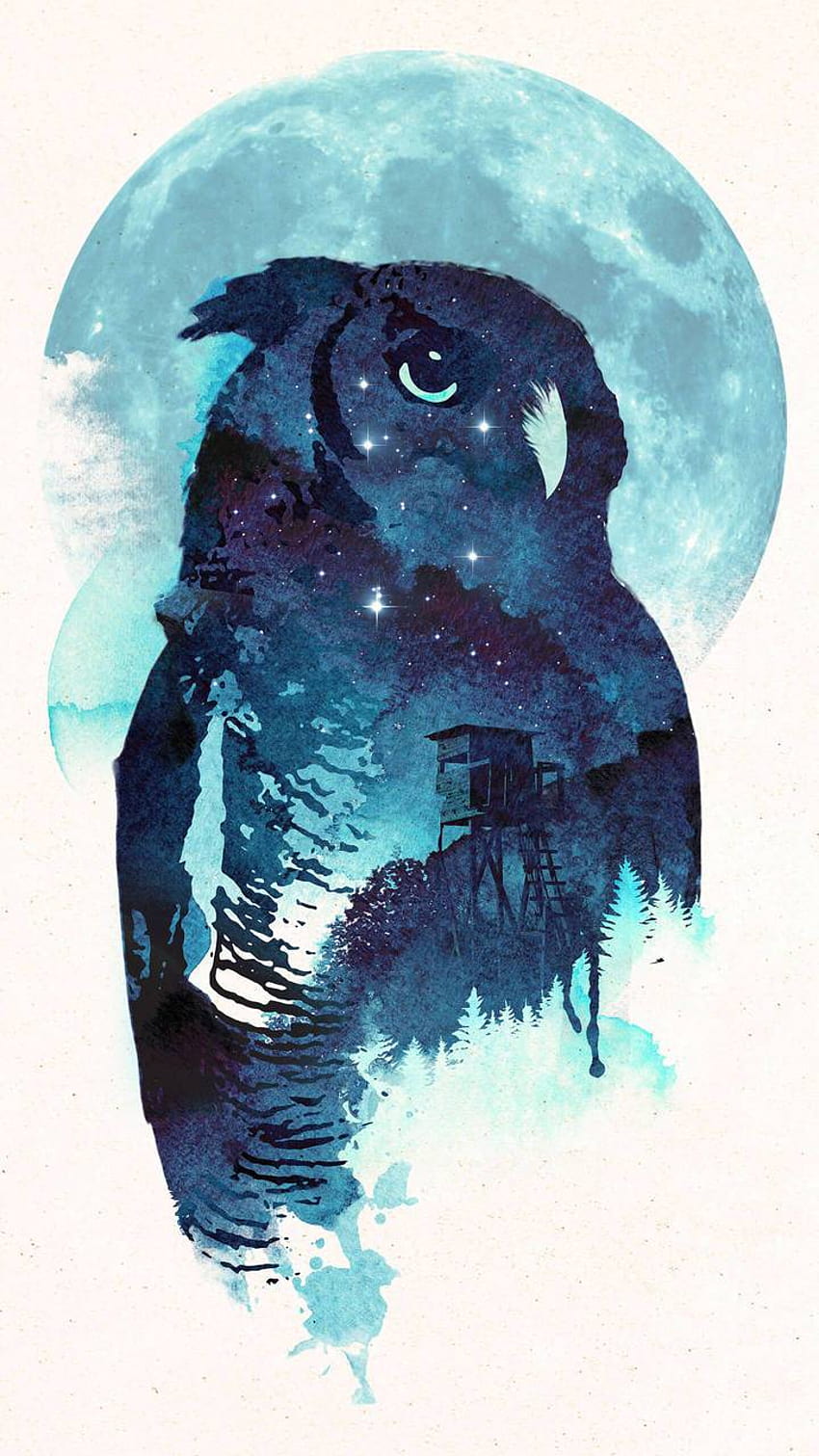 Blue Owl HD phone wallpaper