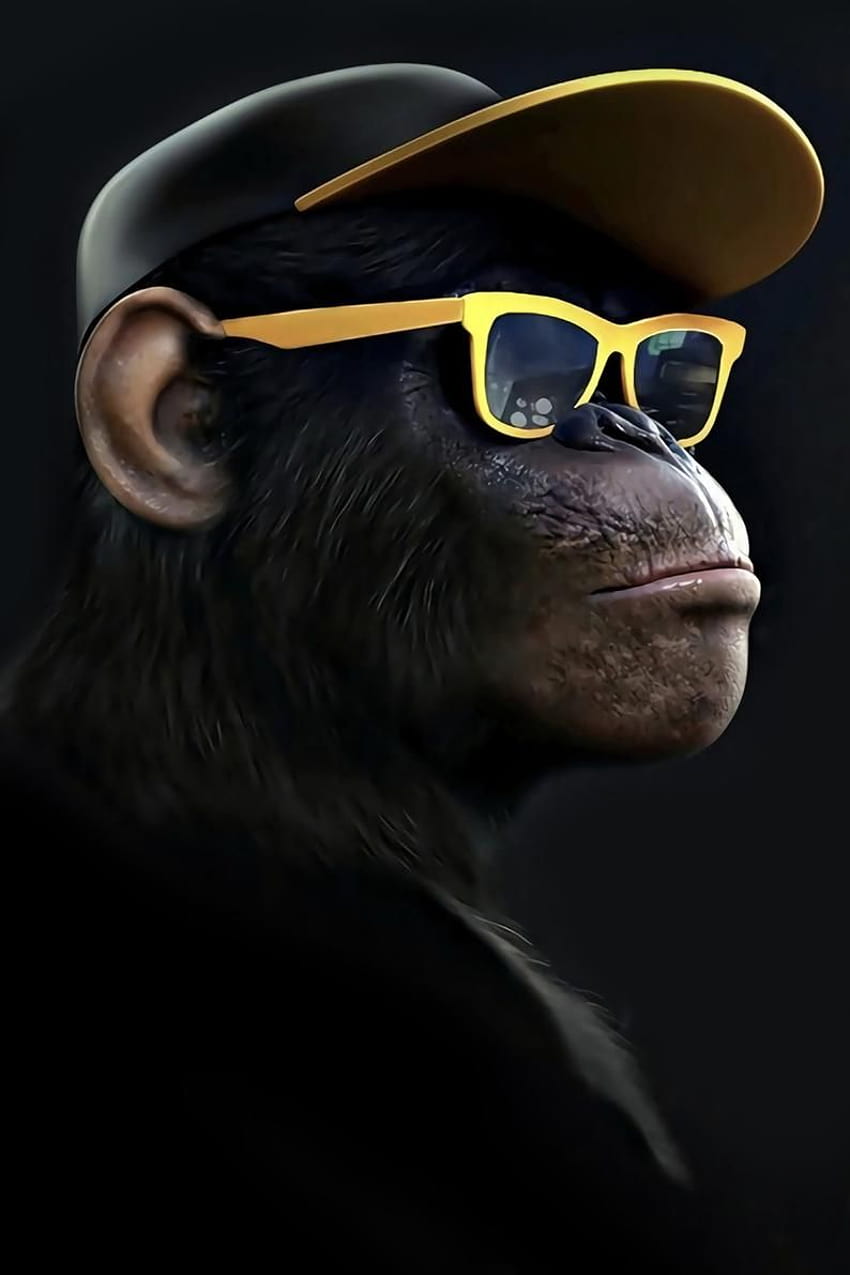 Banksy Dj GorillaThinking Monkey Headphones3 wise swag, monkey swag HD phone wallpaper