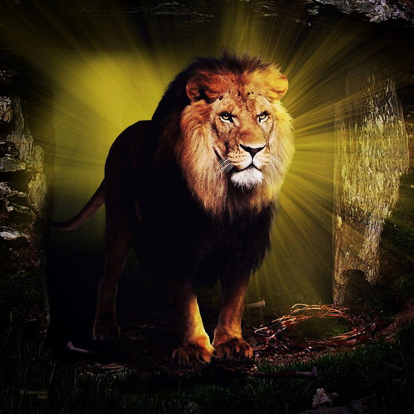 Le Lion de Juda par robhas1left [894x894] pour votre, lion de la tribu de Juda Fond d'écran de téléphone HD