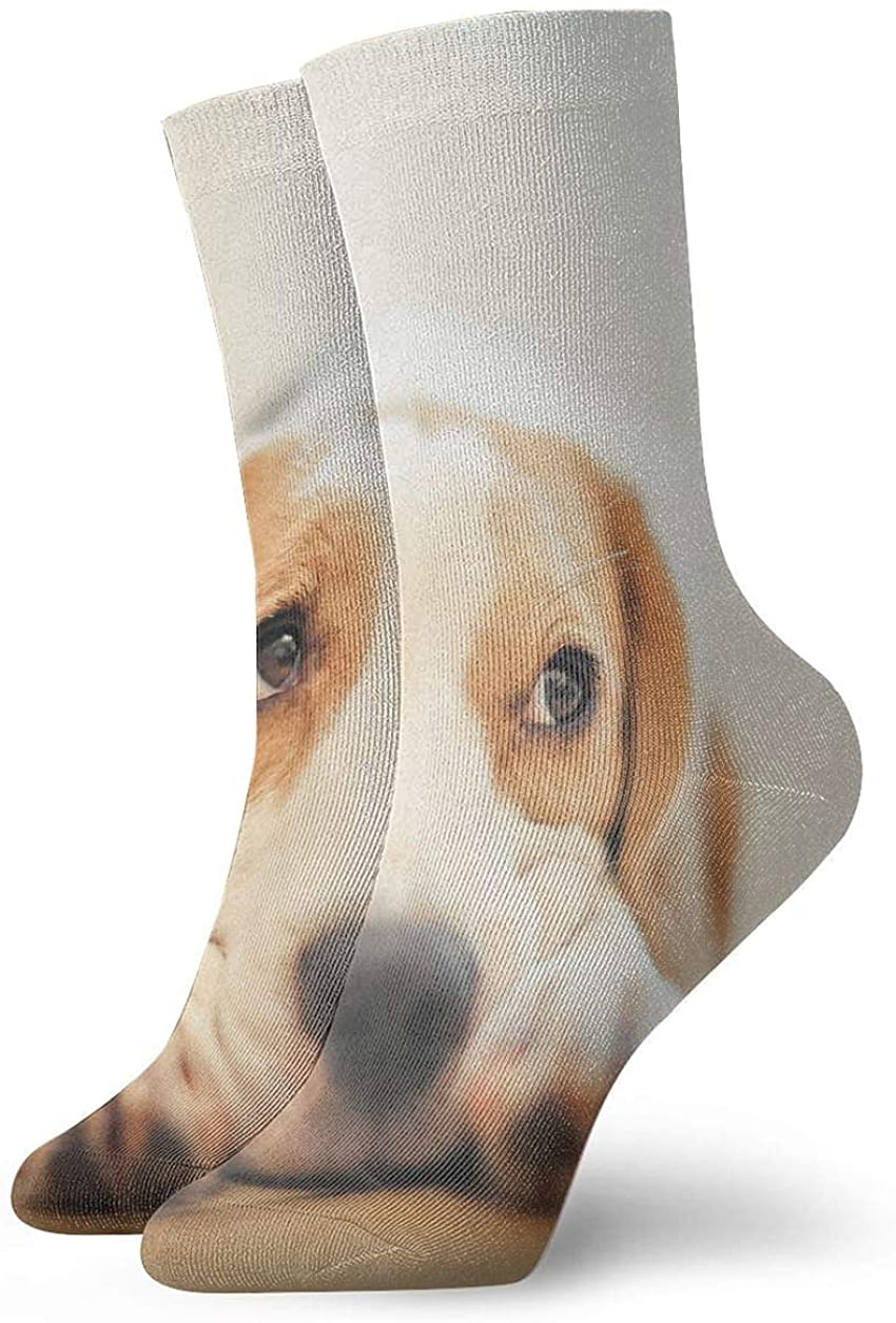 Beagles Мода за мъже и жени Сладки новости Забавни ежедневни чорапи Art Crew в магазин за дамско облекло Amazon HD тапет за телефон