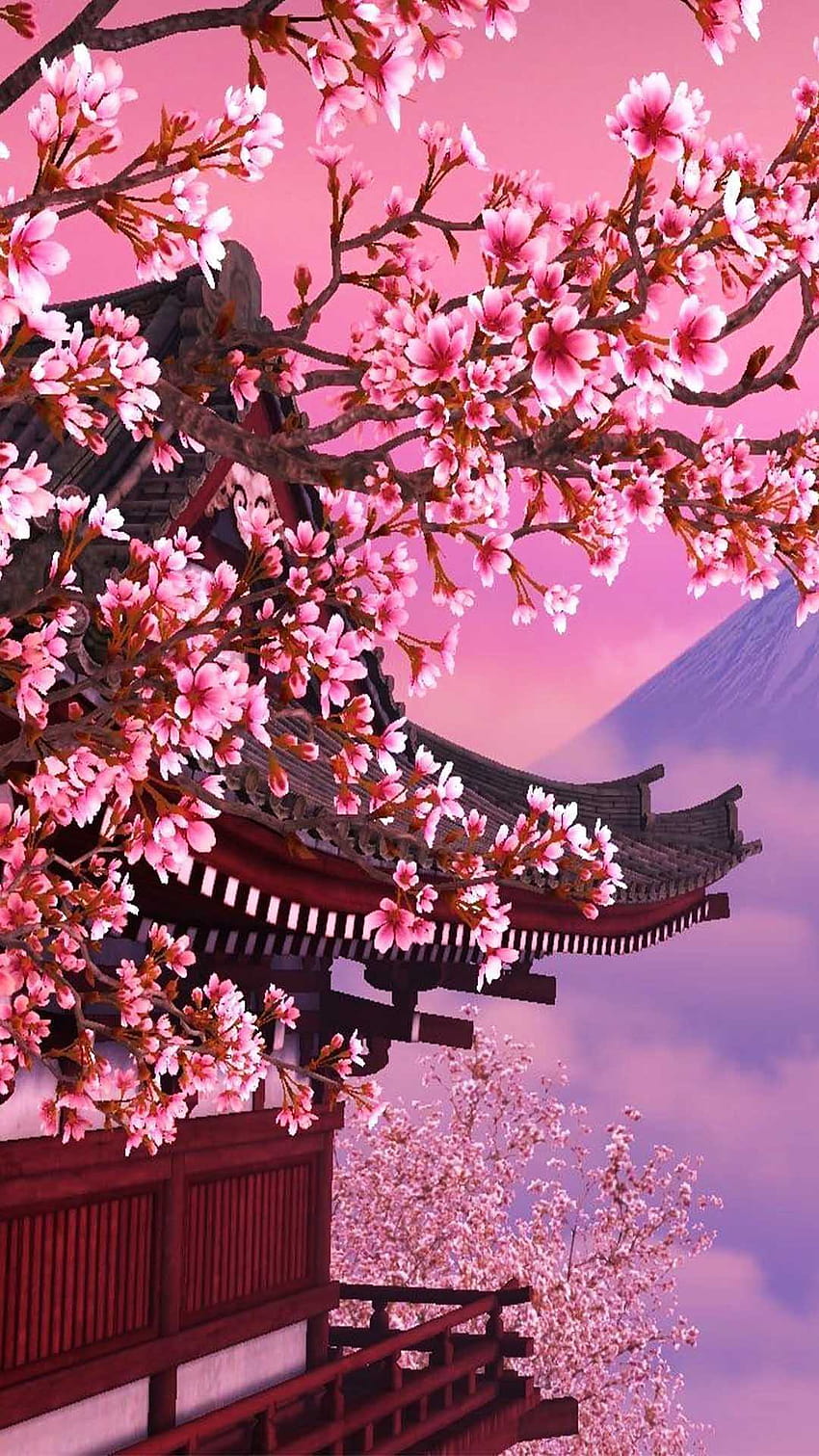 Cherry Blossom, japanese cherry tree HD phone wallpaper