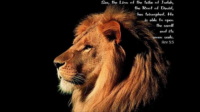 Löwe aus dem Stamm Juda, erobernder Löwe von Juda HD-Hintergrundbild