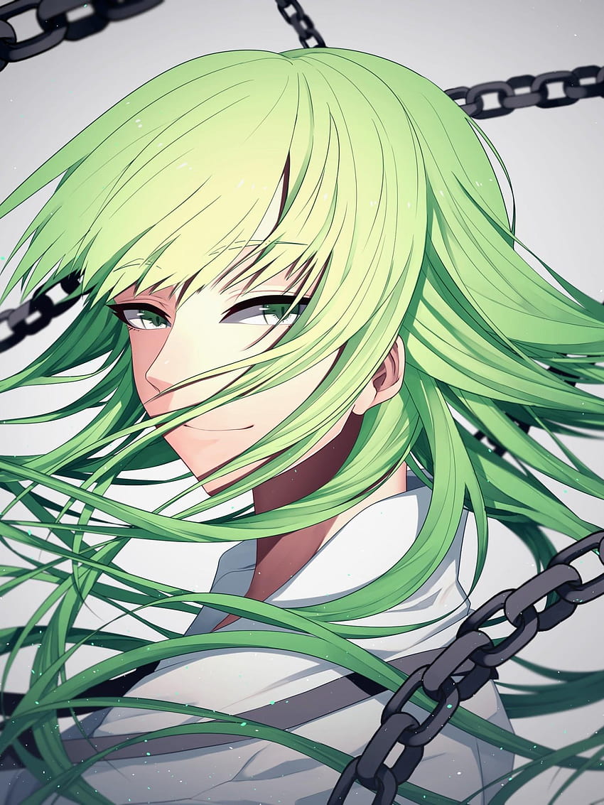 1536x2048 Fate Strange Fake, Enkidu, Green Hair, Chains, anime fake smile HD phone wallpaper
