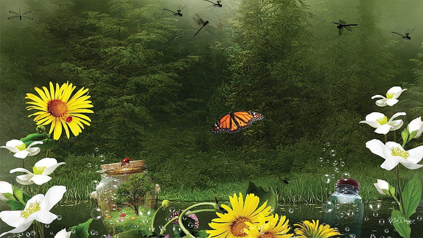 꽃 숲 나비 bokeh 호수 거품 창조적 환상, 나비 호수 HD 월페이퍼