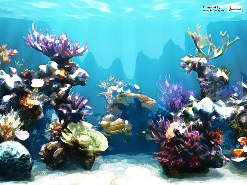 Coral reef fish HD wallpaper | Pxfuel