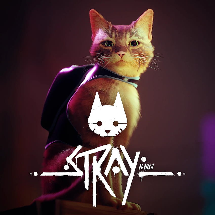 GAME Bromley, stray game HD phone wallpaper