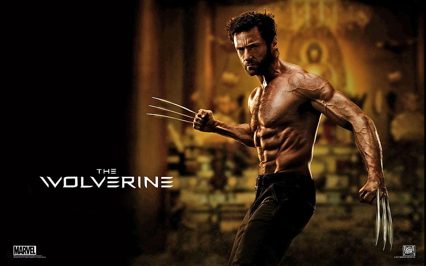 Wolverine 2013 Film, rosomak Tapeta HD