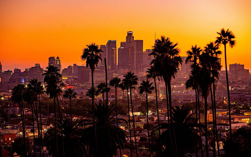 Miasto, zachód słońca, Kalifornia, palmy, Los Angeles • For You For & Mobile, los angeles cute Tapeta HD