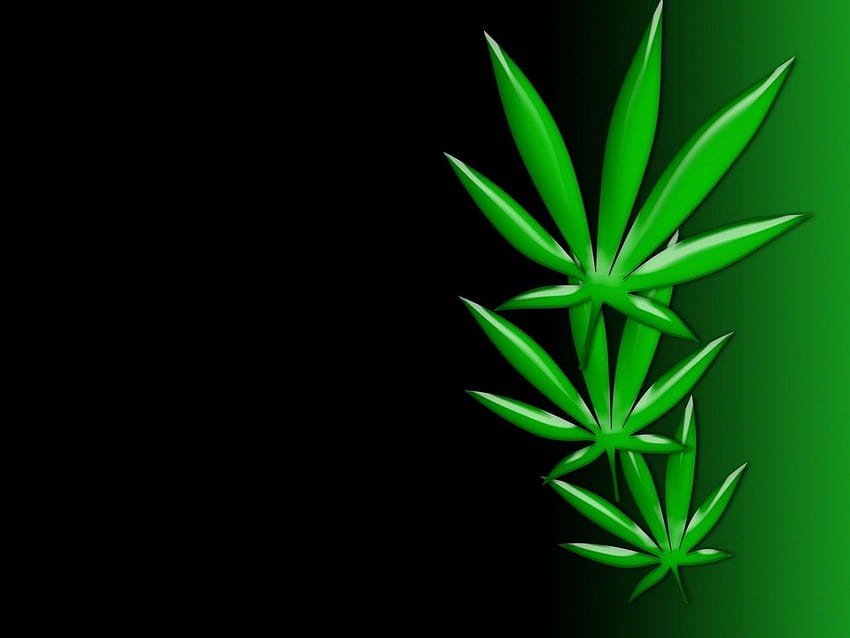 Cannabis, pot leaf HD wallpaper