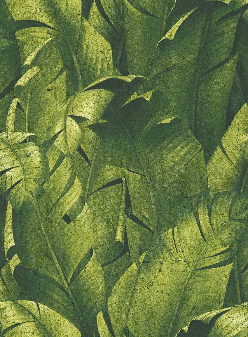 Casca de folha de bananeira tropical, folhas de bananeira Papel de parede de celular HD