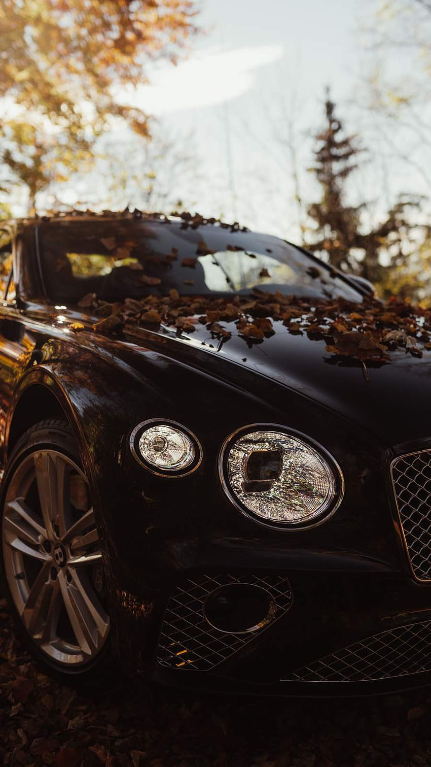 Bentley 4K wallpapers for your desktop or mobile screen free and easy to  download
