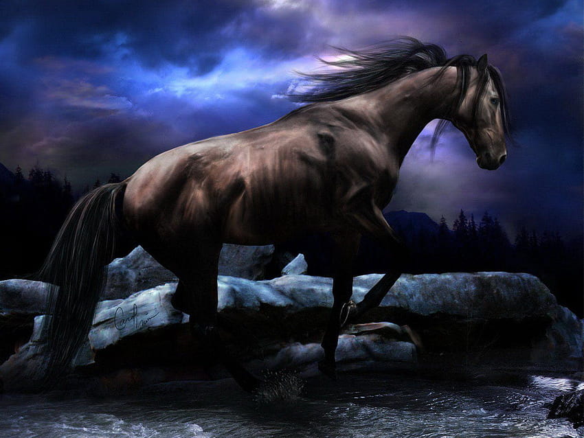 Schwarzes Pferd Iphone: Tier HD-Hintergrundbild