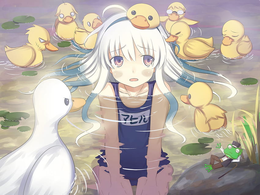 Anime Duck Anime Swimsuit Hd Wallpaper Pxfuel