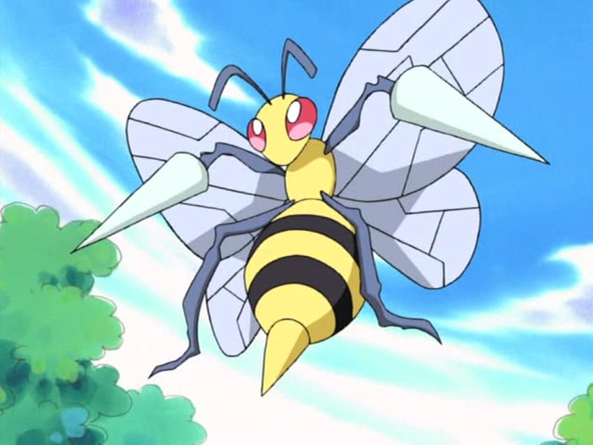 Pokemon Mega Beedrill HD wallpaper | Pxfuel