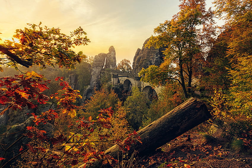 Листа Германия Саксония Скала Природа Есенни клони Дървета, есен в Германия HD тапет