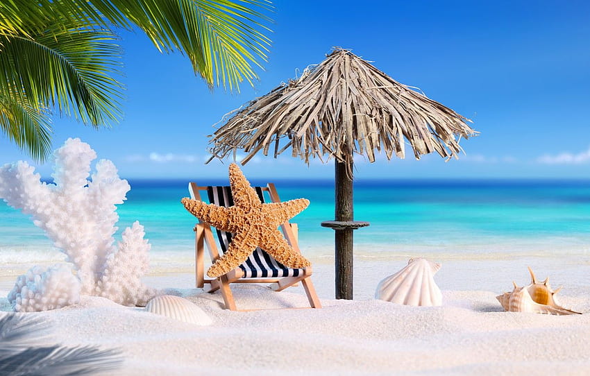 sand, sea, beach, summer, star, vacation, shell, summer, beach, sand, vacation, palms, tropical, starfish, seashells , section природа, tropical beach summer ocean HD wallpaper