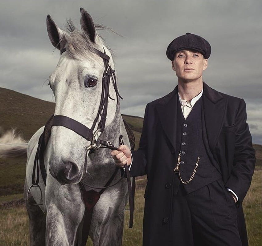 Cillian Murphy a.k.a.Thomas Shelby with beautiful horse, peaky blinders with horse HD wallpaper