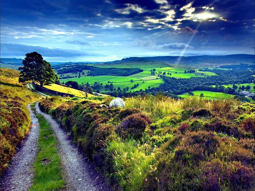 Oh, ye'll tak' the high road, and I'll tak' the low road, And I'll, british countryside HD wallpaper