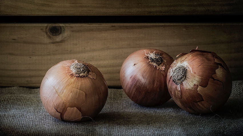 Onions, Food / and Mobile Backgrounds, shallot HD wallpaper