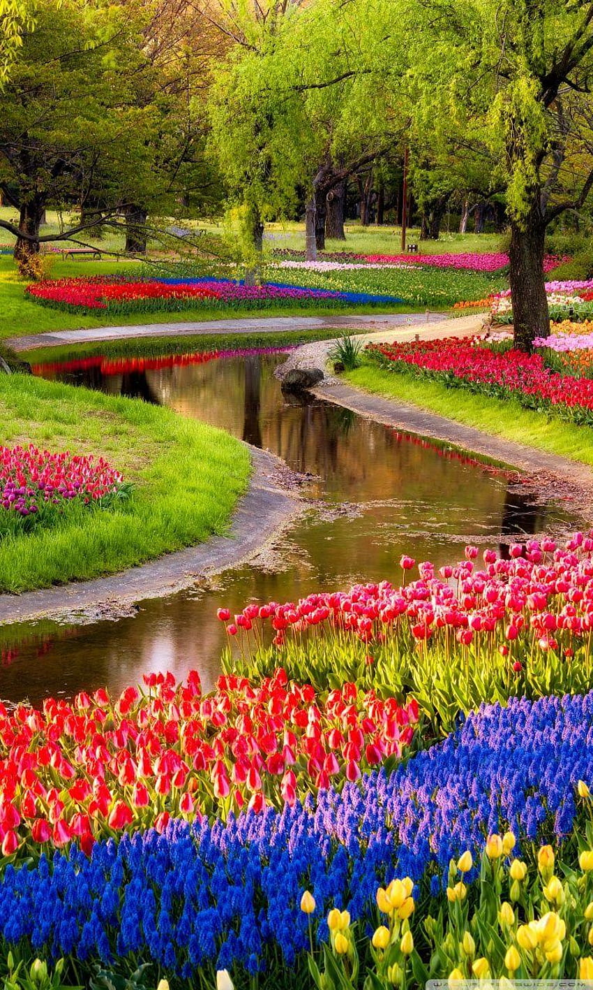 Beautiful Spring Garden ❤ for Ultra, spring nature for mobile HD phone wallpaper
