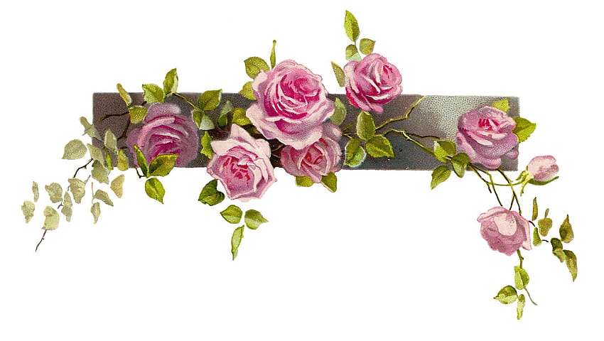 Best Vintag Flower Border, floral border HD wallpaper | Pxfuel