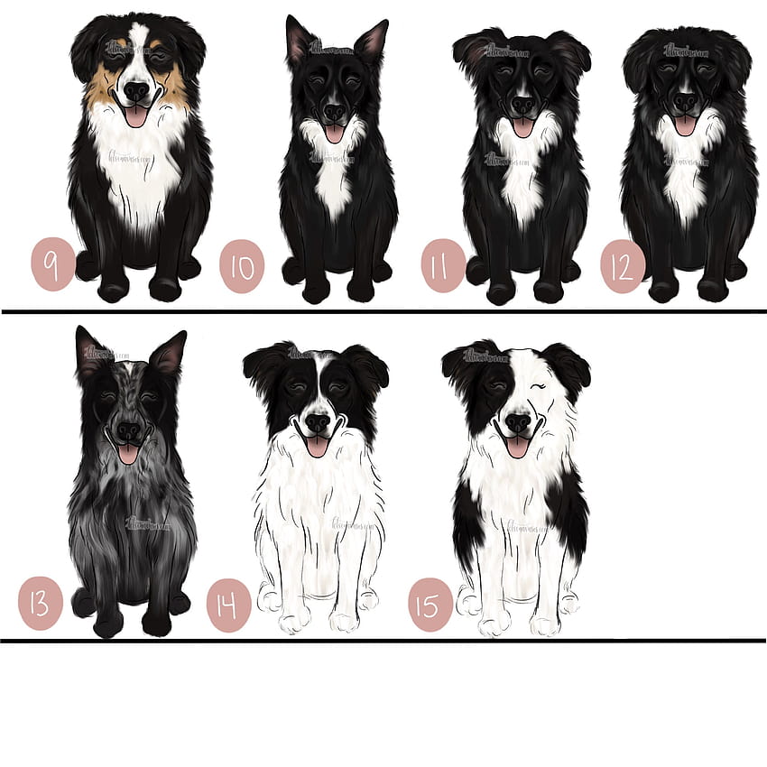 Choose Your BORDER COLLIE Art Print – KT's Canvases HD phone wallpaper