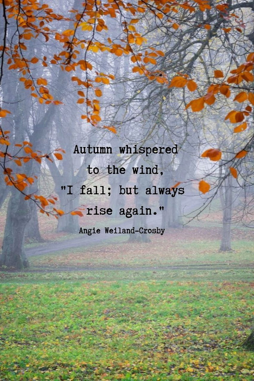 5 Autumn Quotes & Fall Quotes and Captions to Enchant and Deepen the Soul! [Updated for 2020], autumn inspiration HD phone wallpaper