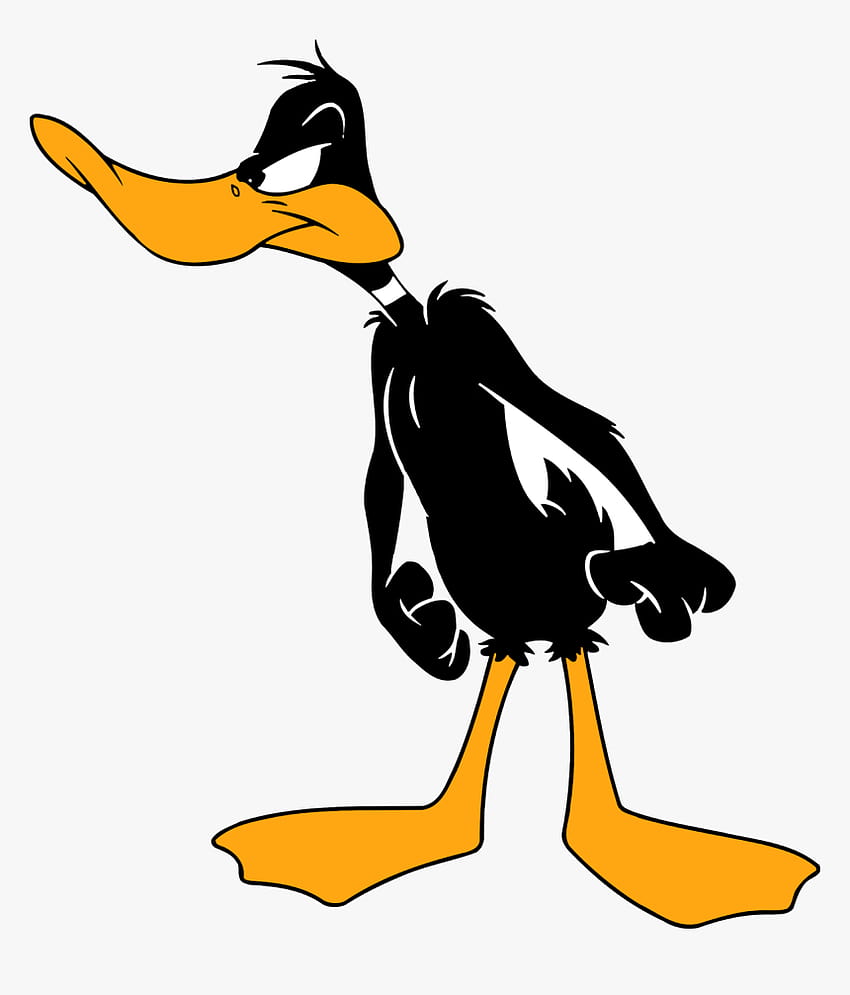 Daffy Duck Png, mad daffy duck HD phone wallpaper