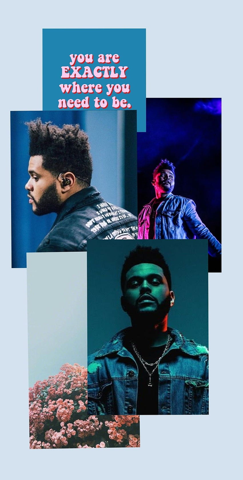 The weeknd trilogy xo HD phone wallpaper  Peakpx