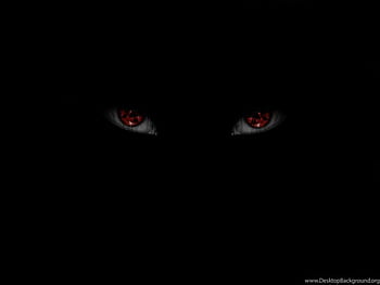 Black lion with red eyes HD wallpapers | Pxfuel