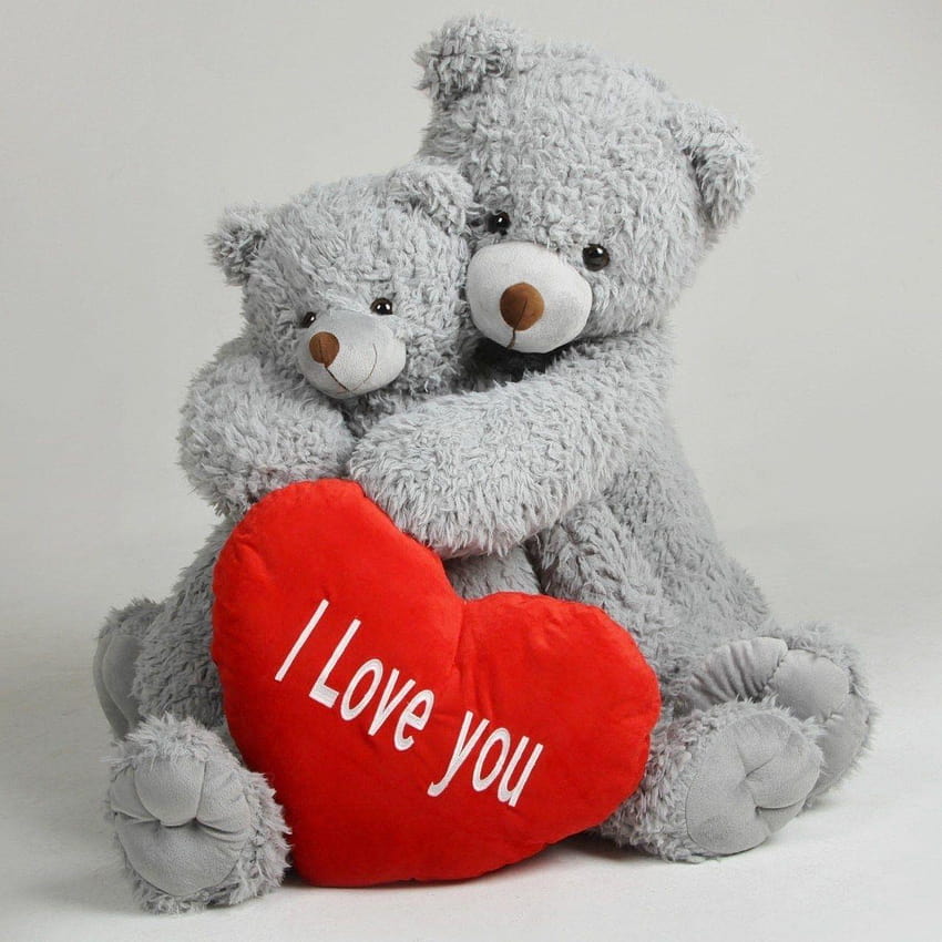 Lovely I Love You Teddy Bear Pics HD phone wallpaper | Pxfuel