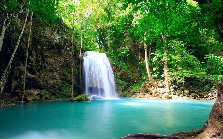 Tropical Rainforest Waterfalls, waterfall rainforest HD wallpaper