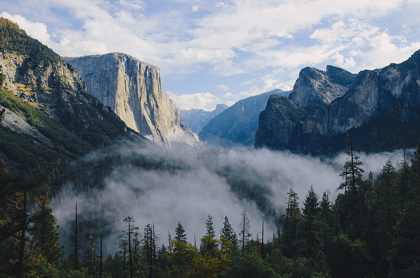 ID: 276966 / mist over the bottom of yosemite valley with view on el capitan, fog in yosemite, yosemite valley morning fog HD wallpaper